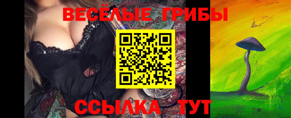 Псилоцибиновые грибы мицелий Отрадное