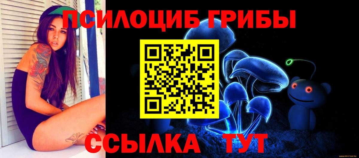 Галлюциногенные грибы мицелий  Вход с VPN  Отрадное  Галлюциногенные грибы прущие грибы 