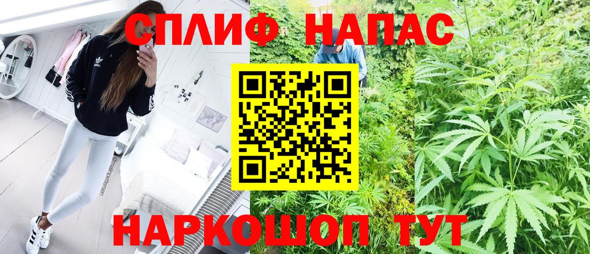 Бошки марихуана план  МАРИХУАНА ГИДРОПОН  Отрадное  Конопля LSD WEED  Вход с VPN 